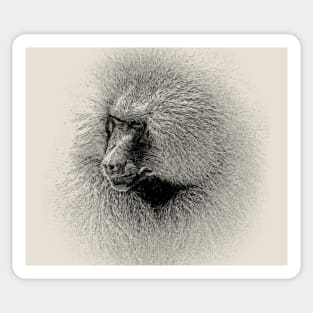 Baboon Sticker